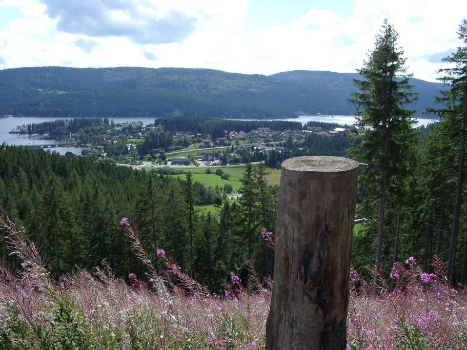 Chez Lisa - Familienurlaub Mit Pool & Sauna + Hsc Schluchsee Zewnętrze zdjęcie